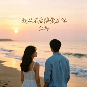 我从不后悔爱过你