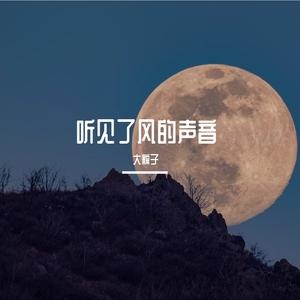 爱一个人好难（rcove：苏永康）