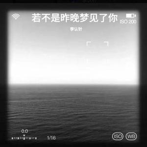 若不是昨晚梦见了你