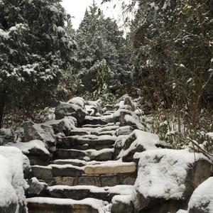 Froggy-北京下雪了，你不在我身边（人间大炮 remix）