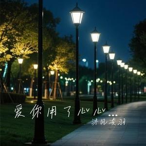 爱你用了心心痛入了骨