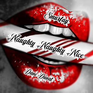 Naughty Naughty Nice (Radio Edit)