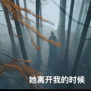 她离开我的时候 (仙品间奏)