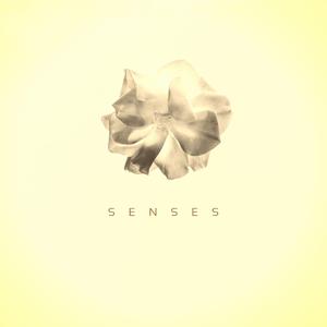 Senses