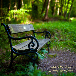 바람부는 숲 (ASMR, 집중 자장가)