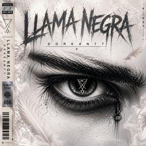 Llama Negra