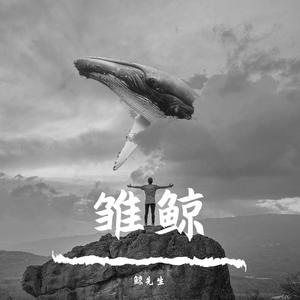 海底_鲸先生/ 宸鸳