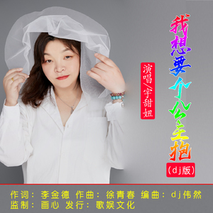 我想要个公主抱 (dj版）