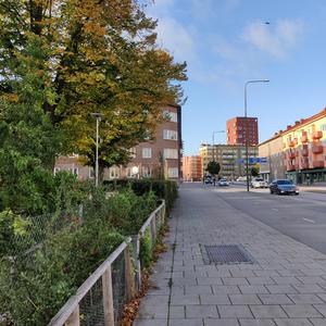 Strössel (Sockerkusiner)