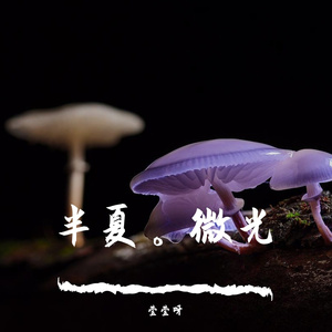 我还有点小糊涂