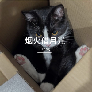 星河深巷的答案