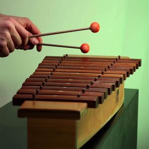 Kokiri Forest (from "The Legend of Zelda: Ocarina of Time")