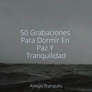 Arroyo De Los Balbuceos