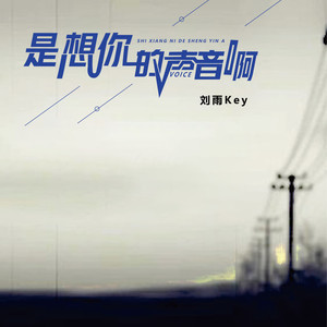 是想你的声音啊