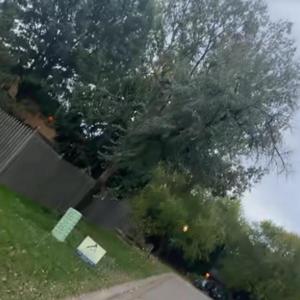 i cant be alone with my own thoughtz