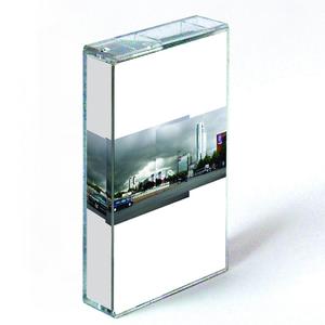 Eagles from town going to the desert