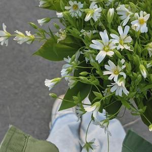 content_1623676199966_20220513_195300