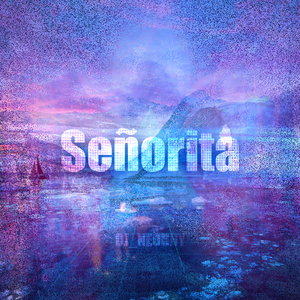Camila Cabello-Señorita（DJ_NEOHHY remix）