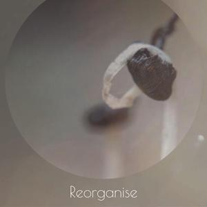 Unfermented Gentlewoman