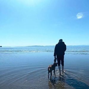 未发送的草稿箱 伴奏