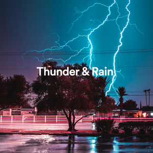 Thunder by Night