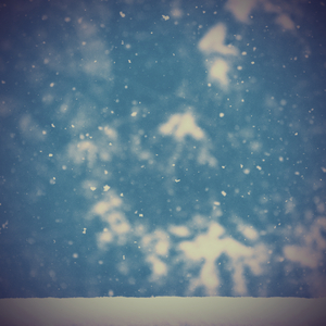 Snefnug