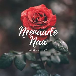 Neenaade Naa (Instrumental Version)