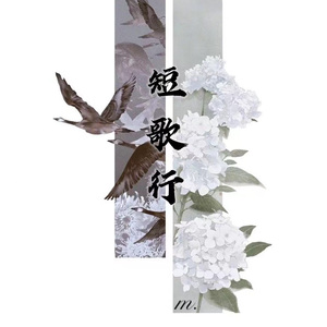 短歌行 伴奏