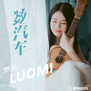 数汽车 (正式版)