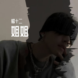 姐姐（Cover：DouDou）