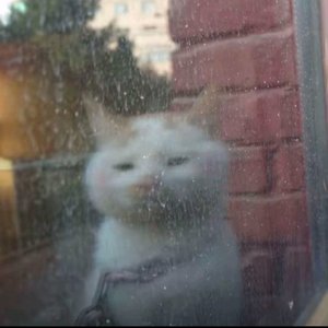 关于你的记忆,我又该如何停笔