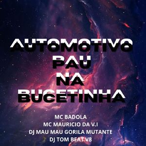 Automotivo Pau na Bucetinha