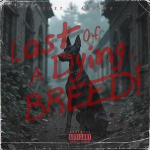 Apes (feat. AktiveTheBoss)