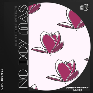 No Doy Más (Themetique Dub)