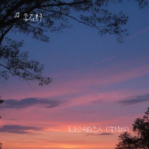 是无法公开的恋人