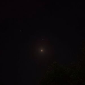 孤独是生命的礼物