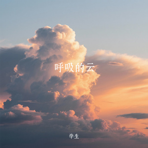 呼吸的云