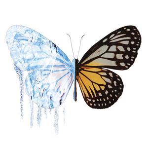 理智与情感（发行版）