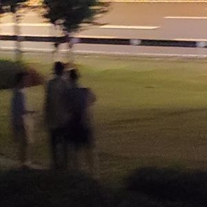 草地翻滚我撞电箱