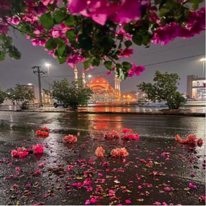 Ty Jesteś Światłem