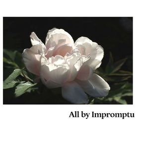 Side 1,Pt 1:Paeonia ostii