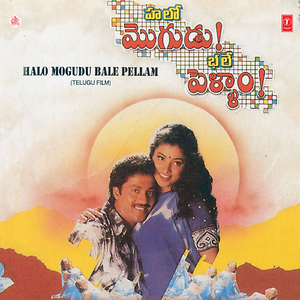 Chikkadamma Ivvala Naaku