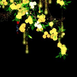 Gentle Bloom