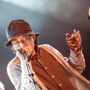 Wlid Animal（live）