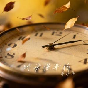 时光慢半拍
