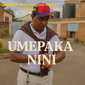 Umepaka Nini