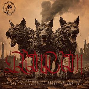 Pieces thrown into a bowl №24