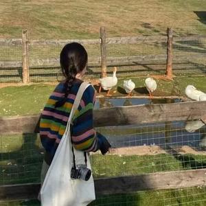 活个明白 (Cover 陆光星)