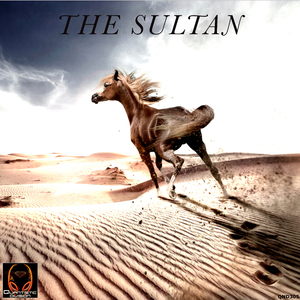 The Sultan (Original Mix)