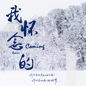 我怀念的（Cover 萧敬腾）